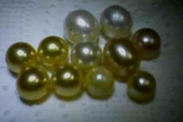 مرواريد طلائي ( Natural  Golden Pearl