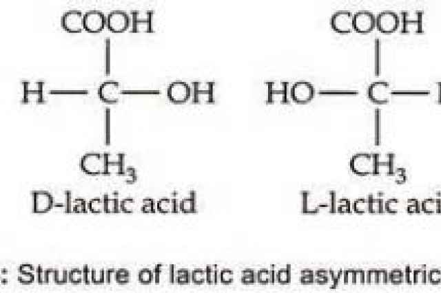 خط توليد اسيد لاكتيك lactic acid L