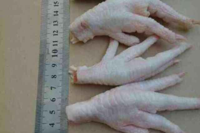 صادرات پنجه مرغ