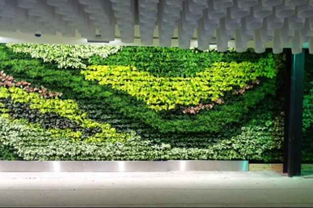 ديوار سبز green wall
