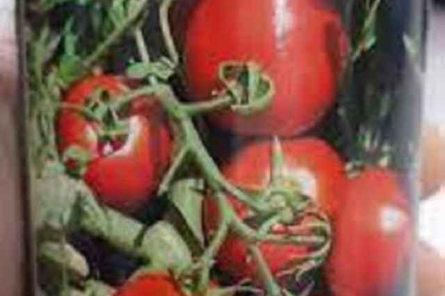 بذر گوجه فرنگي ويلمورين