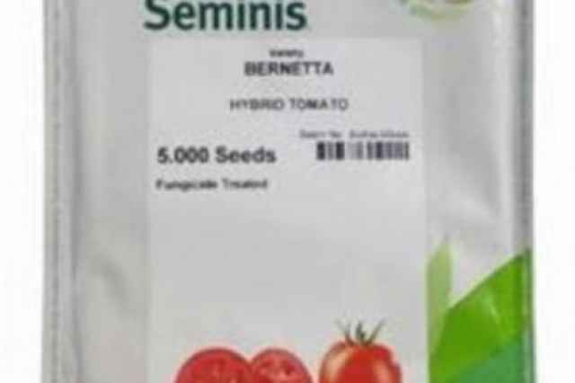 فروش بذر گوجه فرنگي برنتا