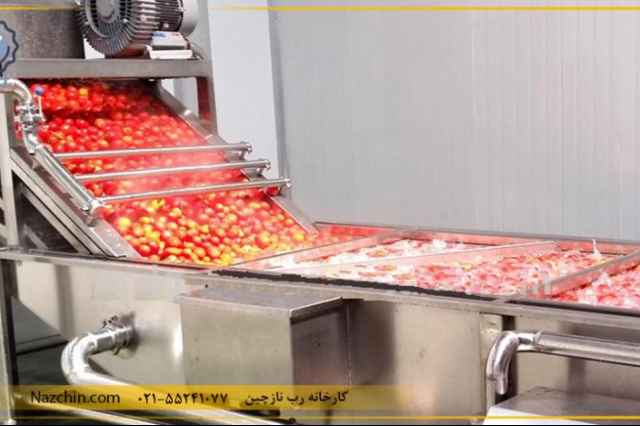 فروش كارخانه توليد رب گوجه فرنگي در استان تهران