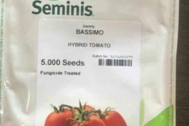 بذر گوجه فرنگي هيبريد باسيمو سمينس
