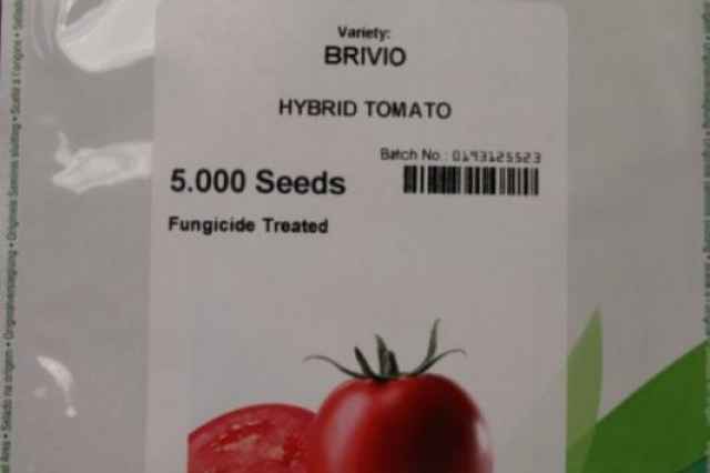 بذر گوجه فرنگي بريويو