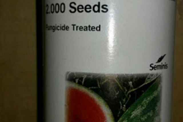 بذر هندوانه بي 32 اصل