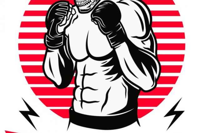 آموزش MMA هنر مبارزات تركيبي
