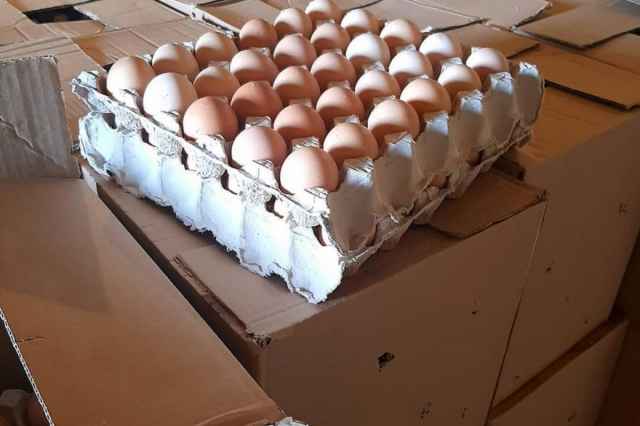 فروش تخم مرغ محلي تك‌زرده و دوزرده