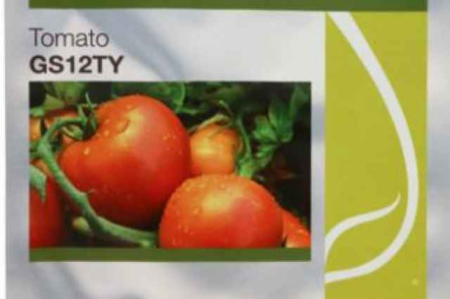 بذر گوجه جي اس 12 تي واي (GS12TY)